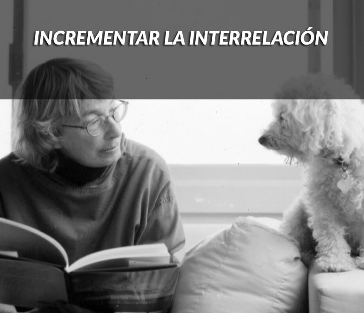 Se considera que la interrelación entre los trabajadores es un factor fundamental para el buen funcionamiento de una oficina. El intercambio de información y de conocimientos en el seno de la empresa no solo ayuda a mejorar el aprendizaje y el trabajo en equipo, sino que también incrementa la cohesión social y el intercambio de ideas. En este sentido, la distribución física del entorno laboral desempeña un papel importantísimo.